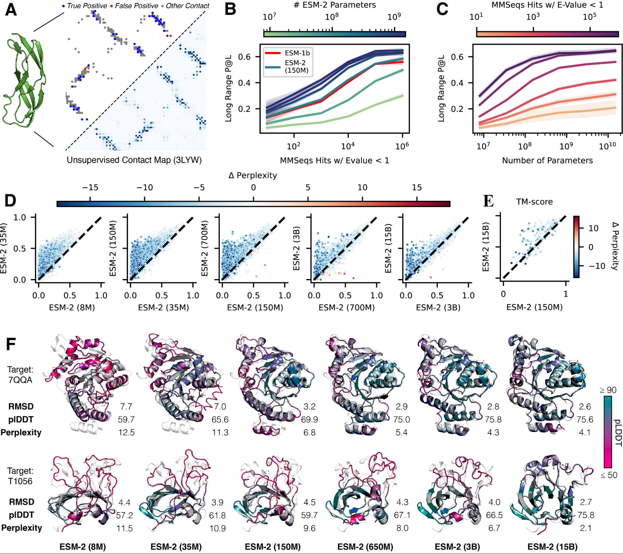 ESM-2 demonstrates that protein structure emerges from language model scale. Contact prediction improves systematically, and structure prediction quality increases with model size.