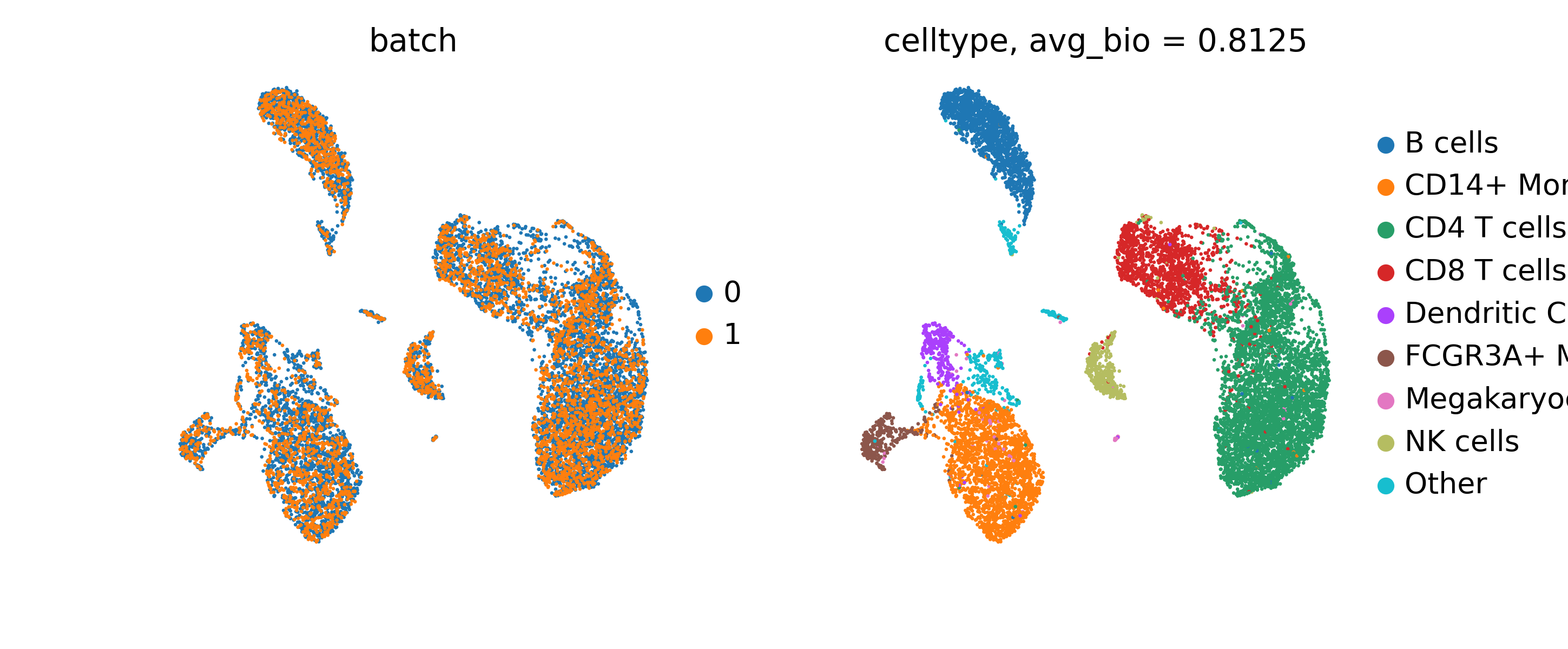 scGPT embeddings effectively integrate cells across batches while preserving biological cell type structure.