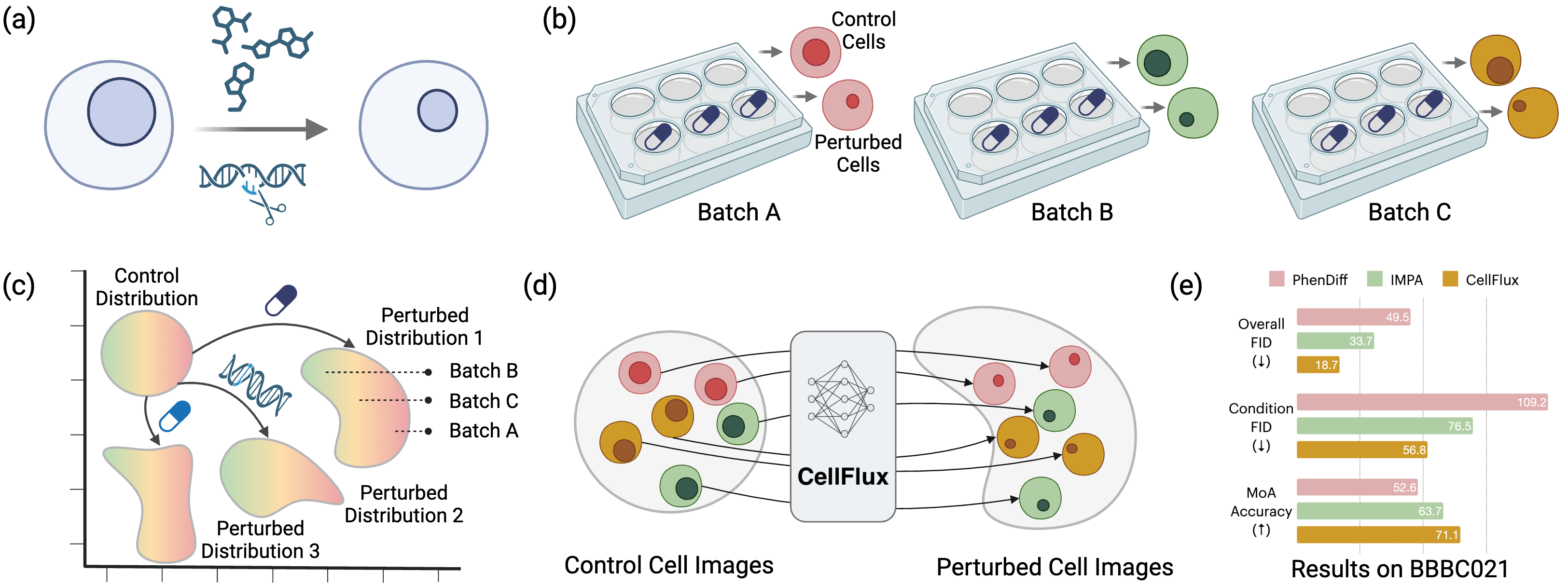 Figure 3: CellFlux Framework Overview