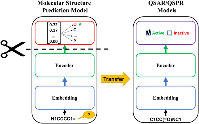 Figure 7: Transfer learning architecture for molecular property prediction