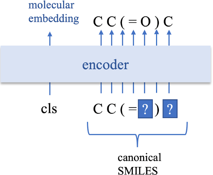 Figure 8: SMILES-BERT pre-training approach