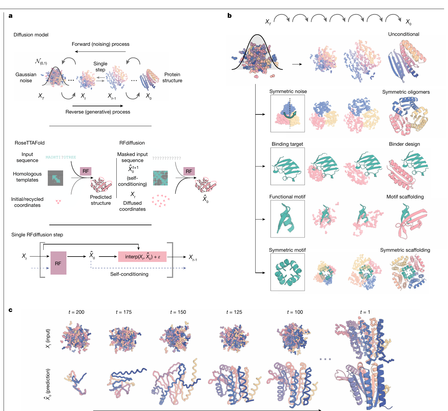Figure 2: RFdiffusion forward noising, reverse backbone denoising, architecture change, and conditioning modes.
