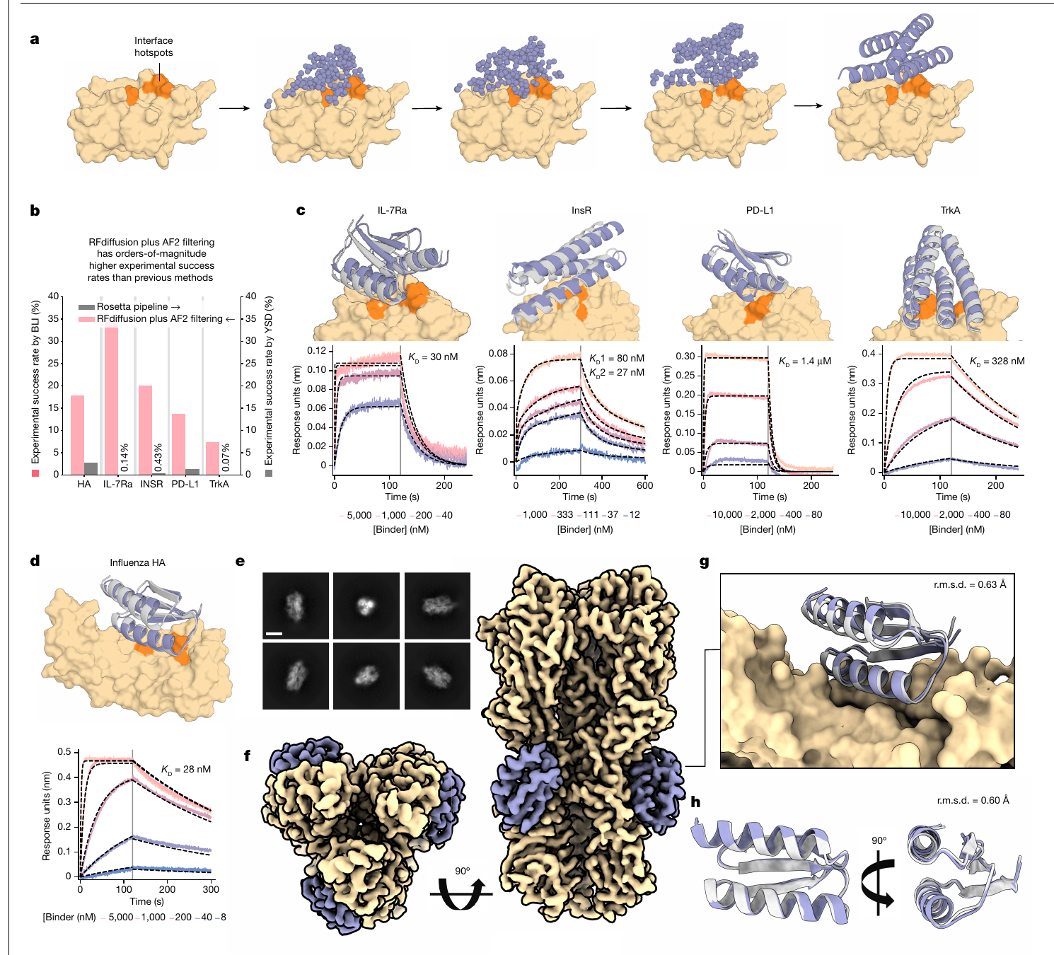 Figure 5: RFdiffusion target-conditioned binder generation, author-reported campaign assays, and highlighted cryo-EM validation.