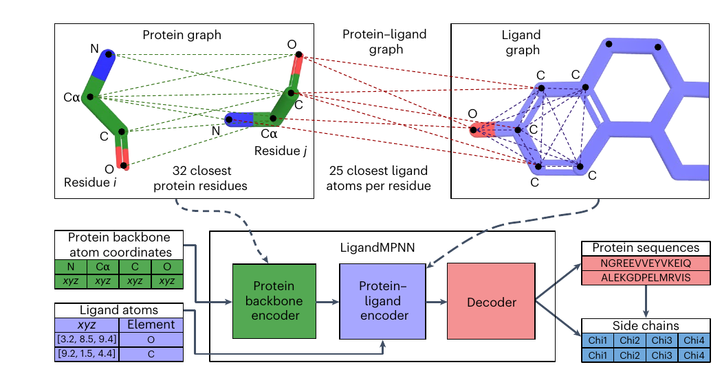 Figure 3: LigandMPNN protein, context, and decoding graphs for fixed-backbone atomic-context inverse folding.