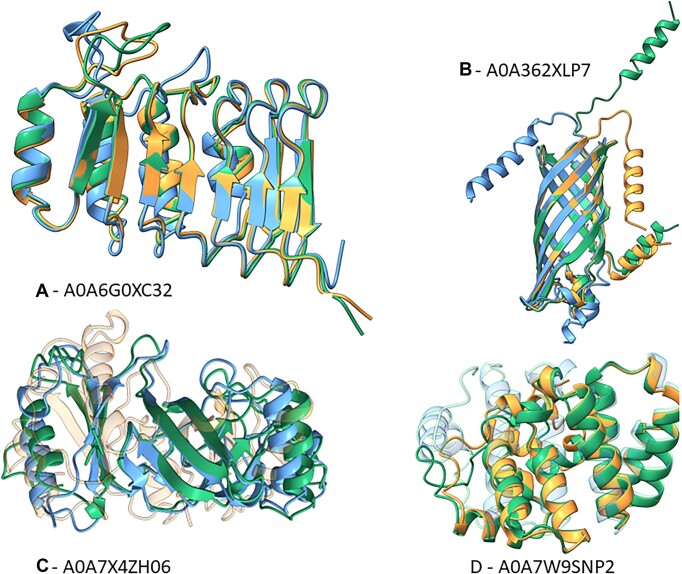 Four selected ProstT5 inverse-folding examples comparing target and predicted structures