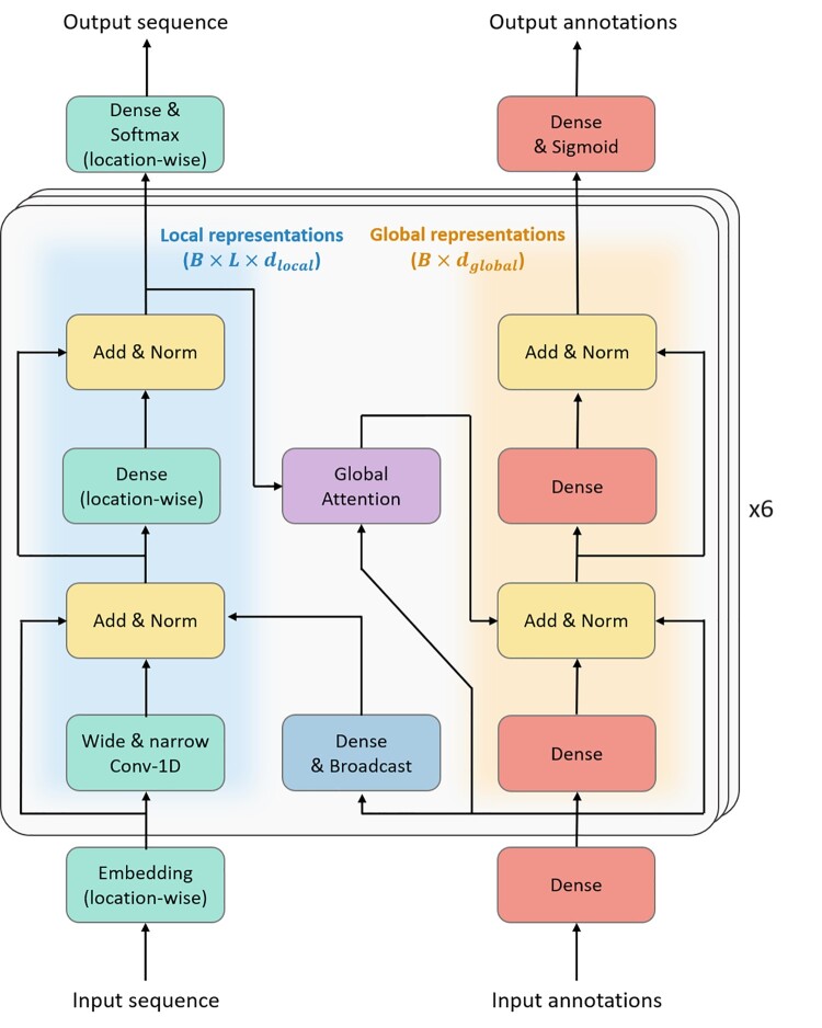 ProteinBERT architecture with parallel local residue and global protein representations