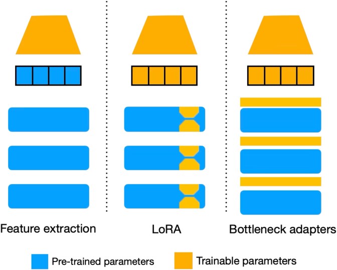 PLMFit diagram of frozen feature extraction, LoRA and bottleneck adapters