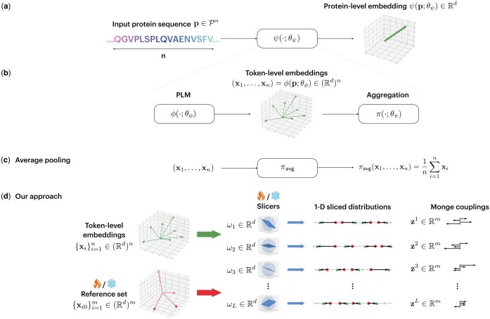 Average pooling and trainable optimal-transport pooling of residue embeddings