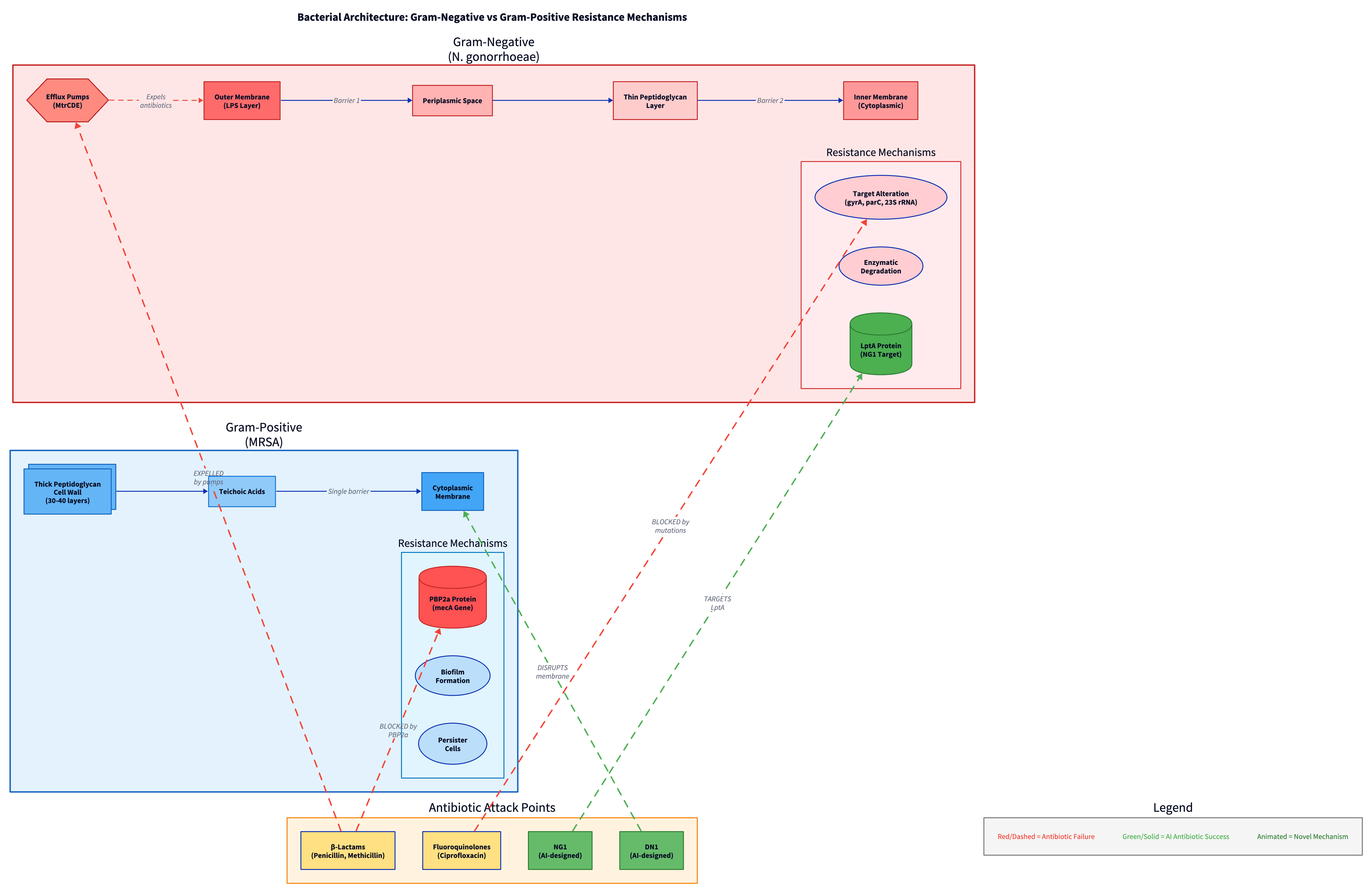 Bacterial Architecture Comparison