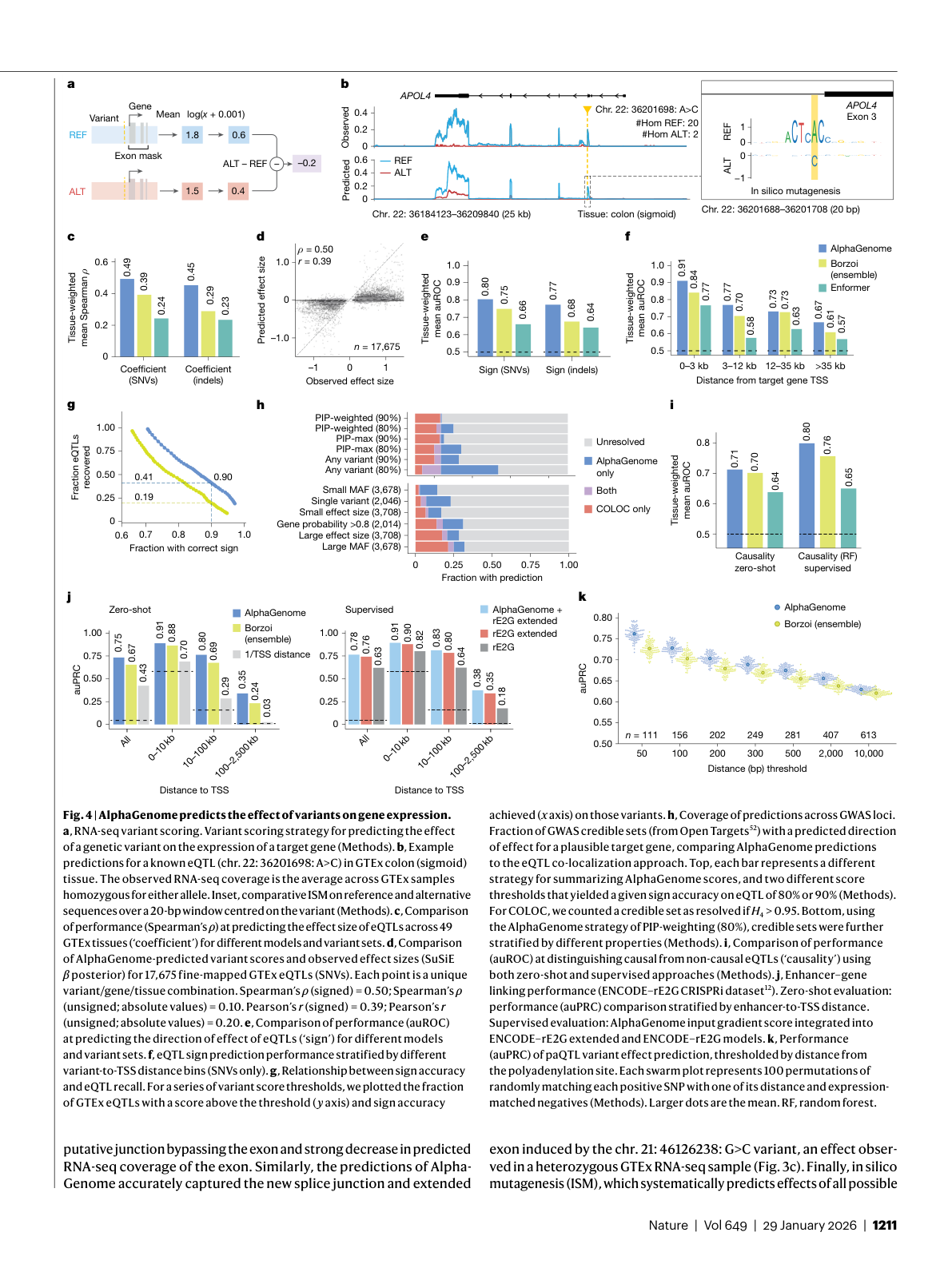 AlphaGenome predicts variant effects on gene expression
