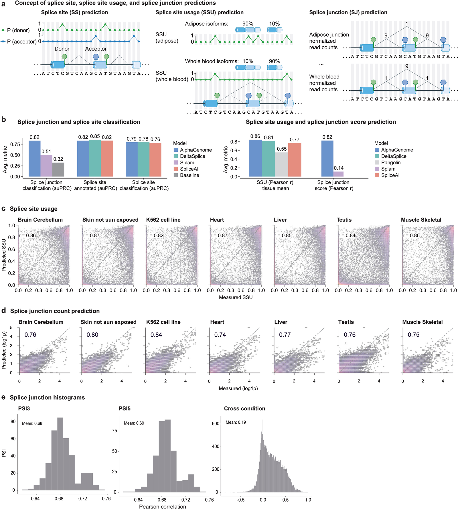 Splicing prediction benchmarks