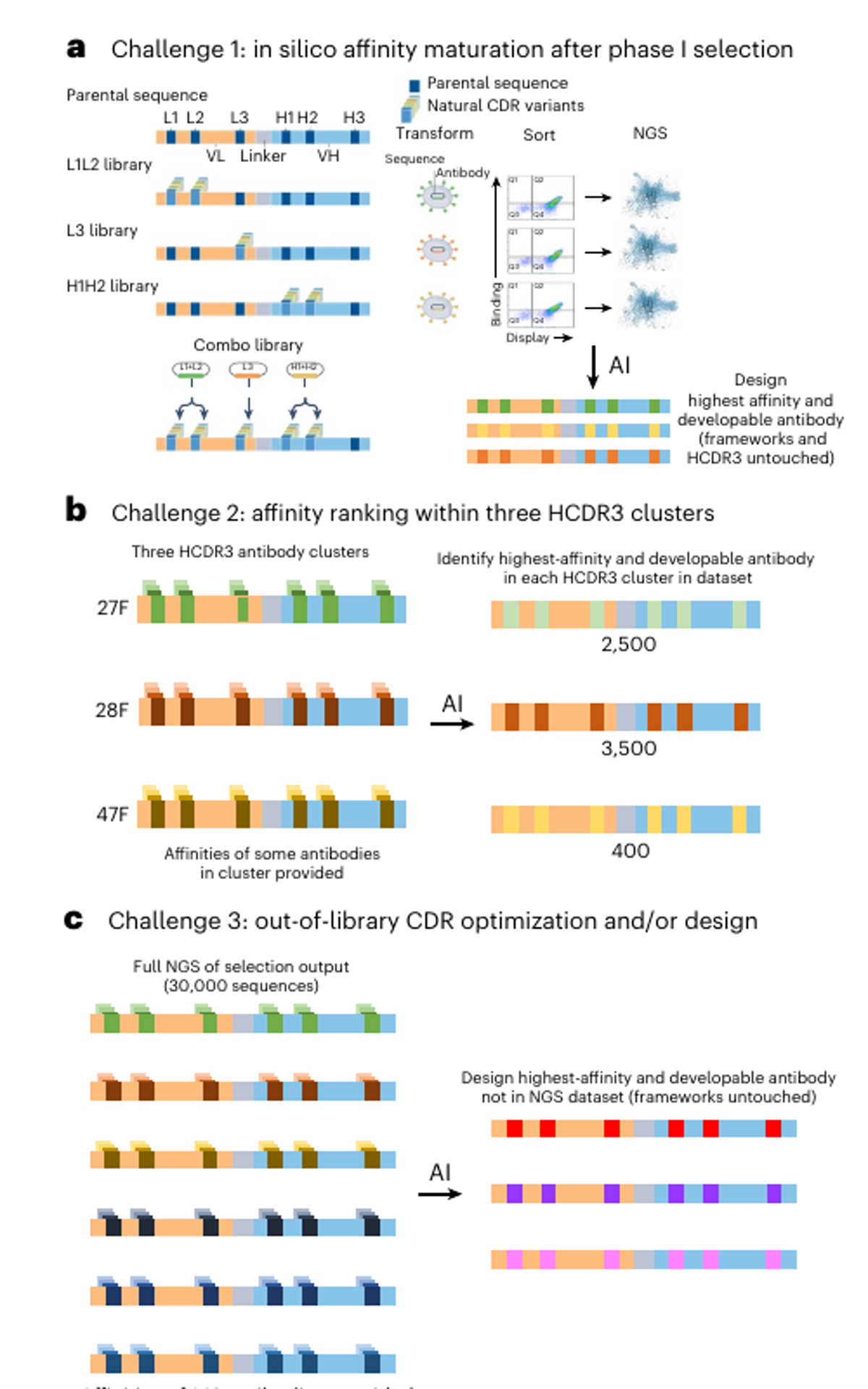 Three prospective antibody benchmark challenges covering affinity maturation, within-HCDR3-cluster ranking and out-of-library CDR design