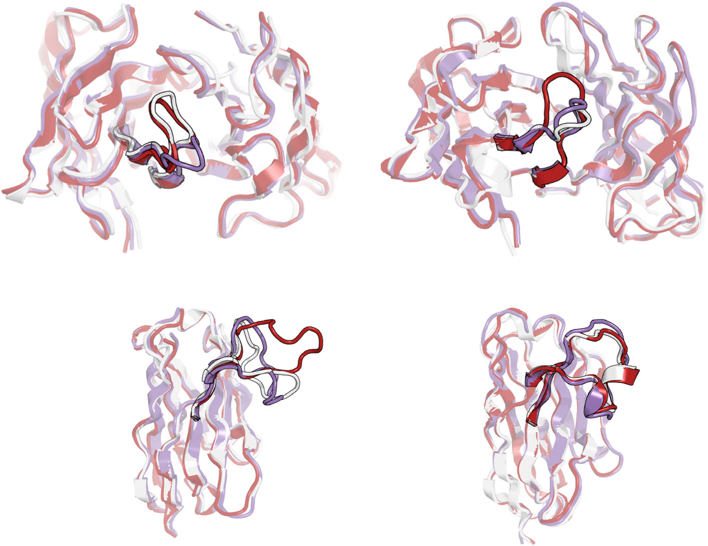 Predicted and experimental antibody structures overlaid to show local CDR errors