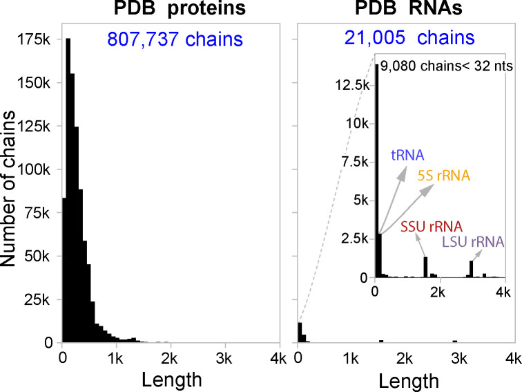 Protein and RNA chain-count imbalance in RNA3DB