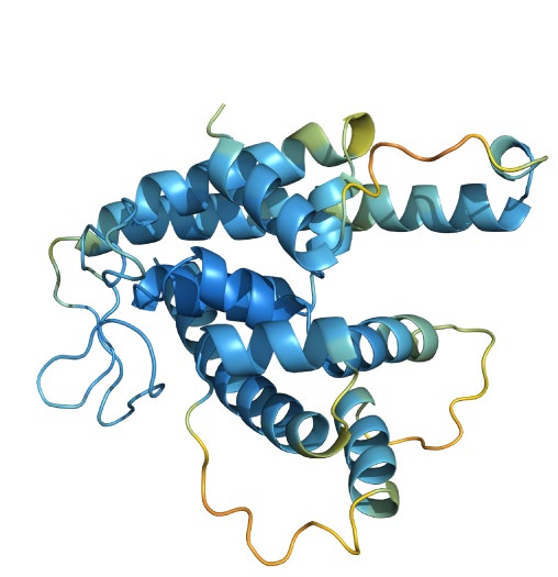 AlphaFold Architecture Overview