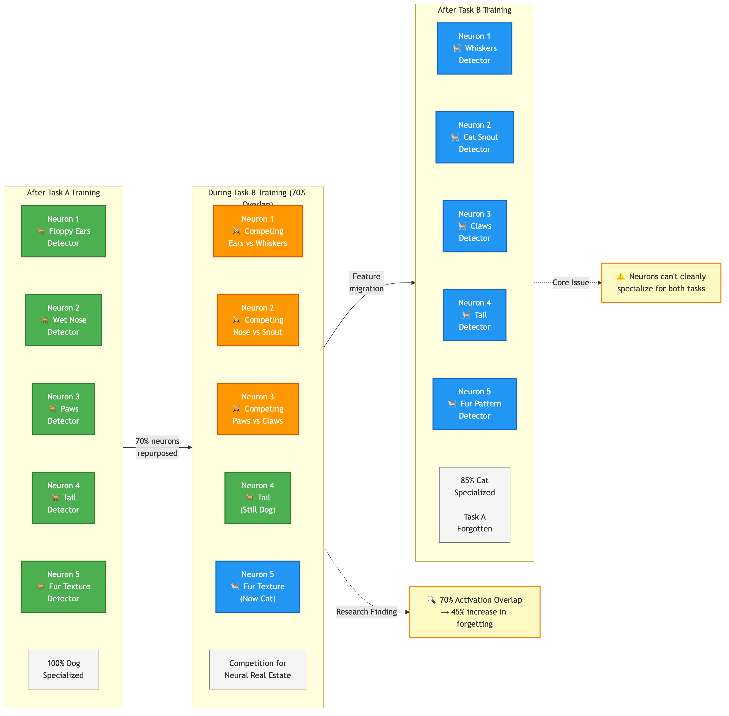 Neuron specialization competition diagram