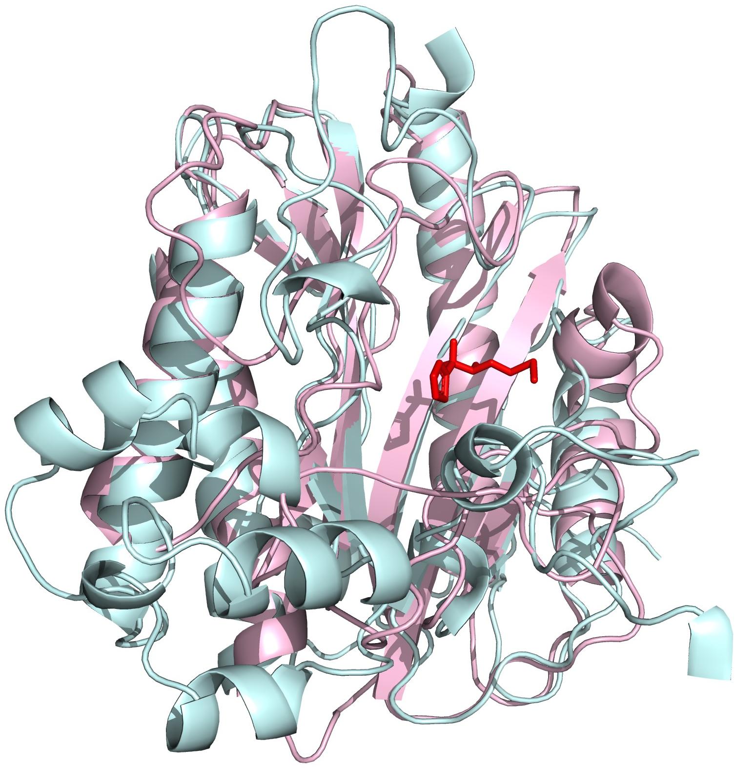 Figure 1: A protein structure with a bound ligand, illustrating the binding pocket that SBDD methods target