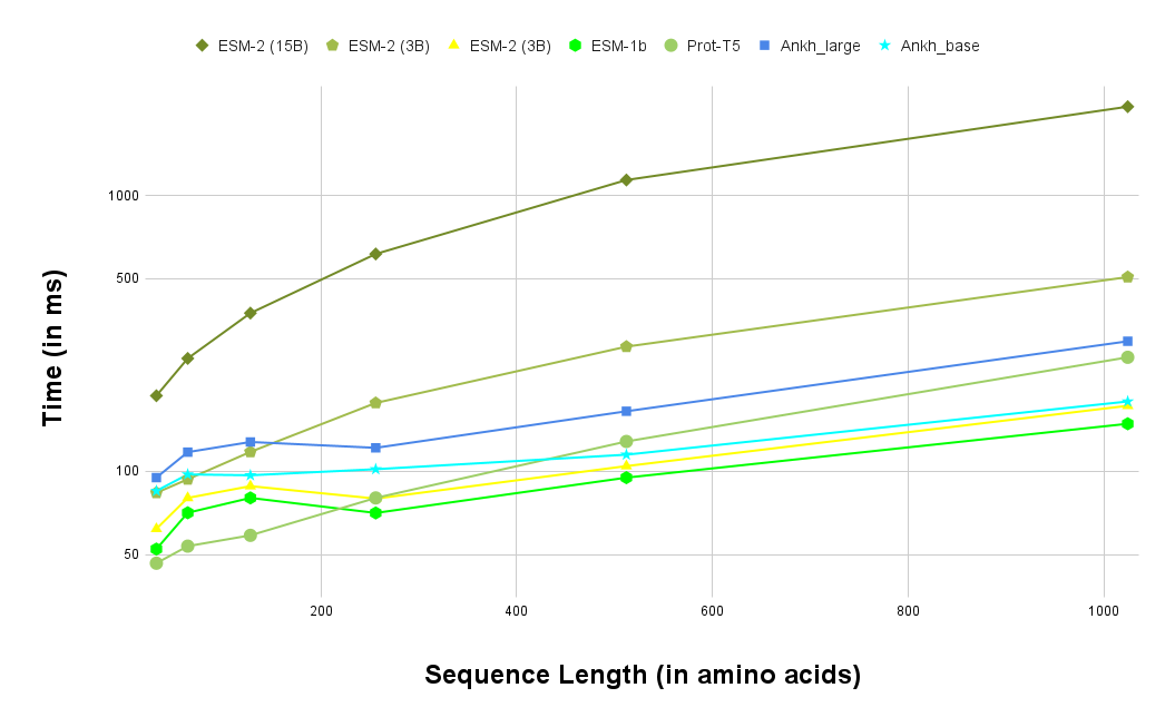 Protein Language Model Performance