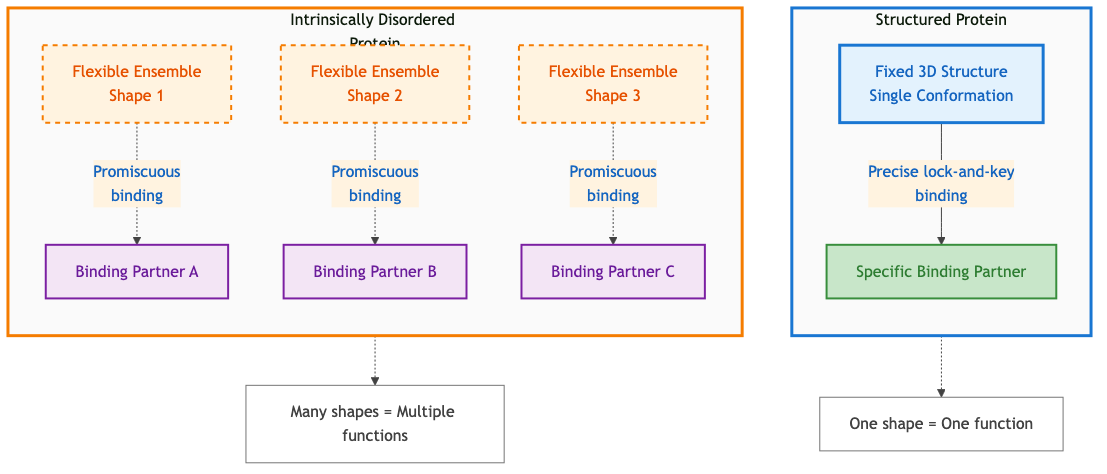 Structured vs Disordered Proteins