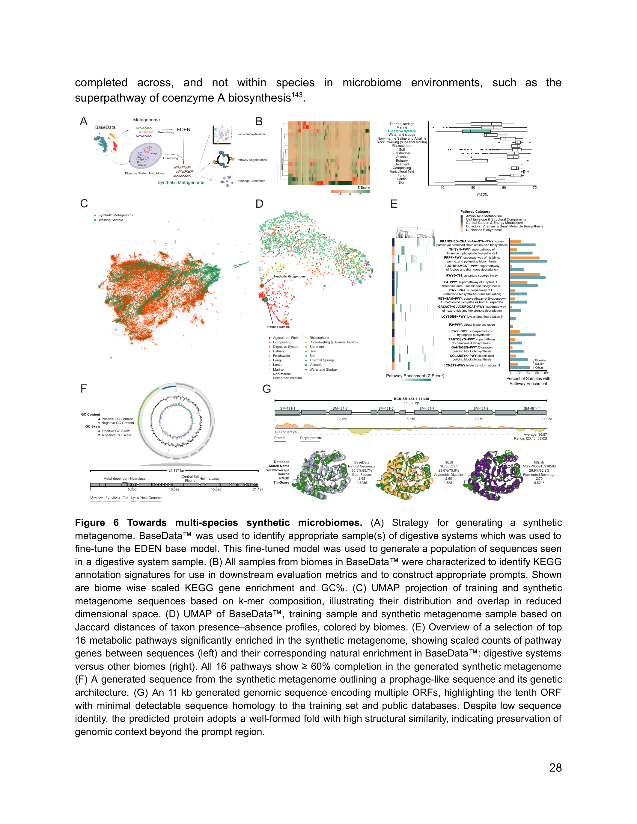 Synthetic microbiome design