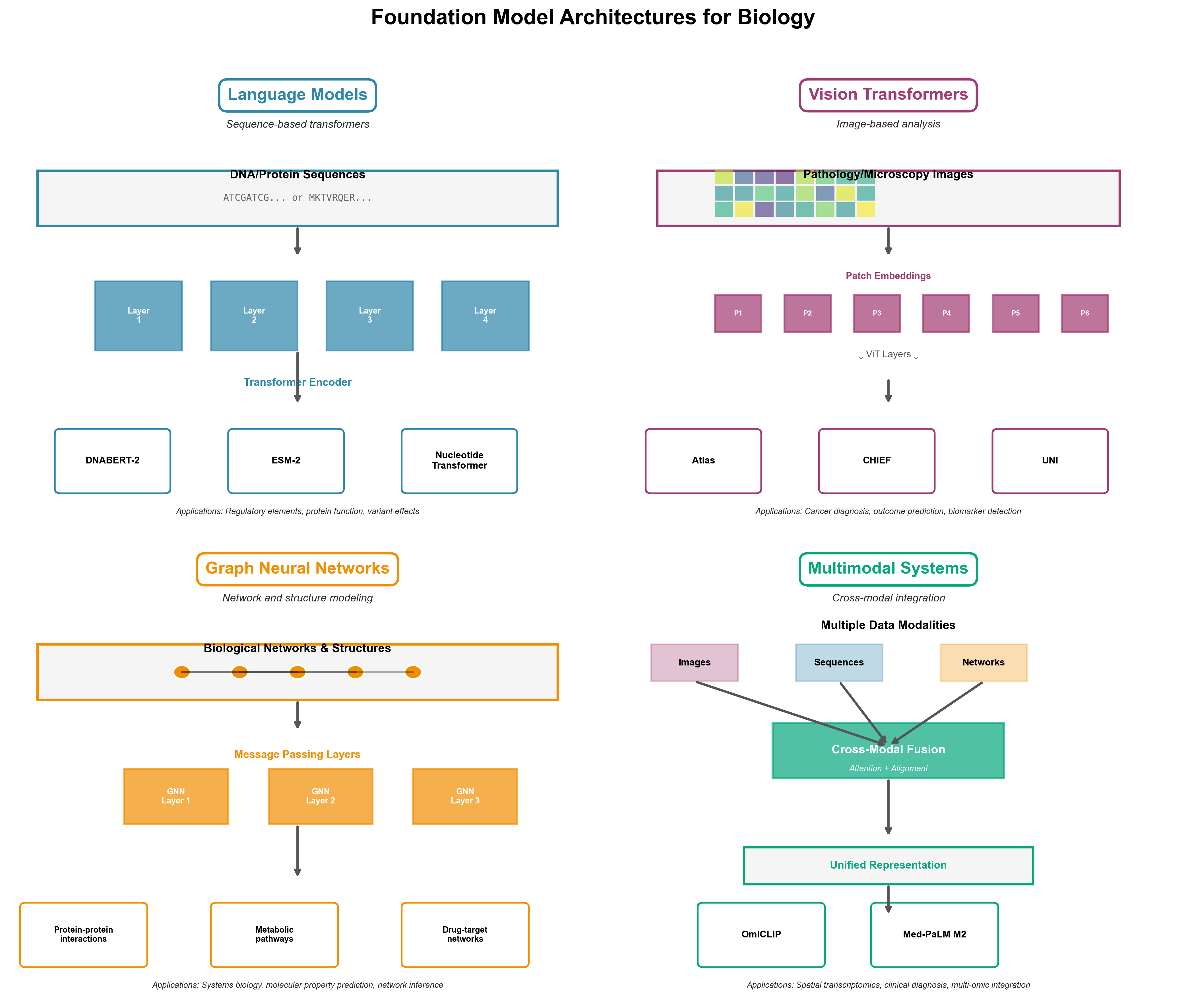 Four Foundation Model Architectures for Biology