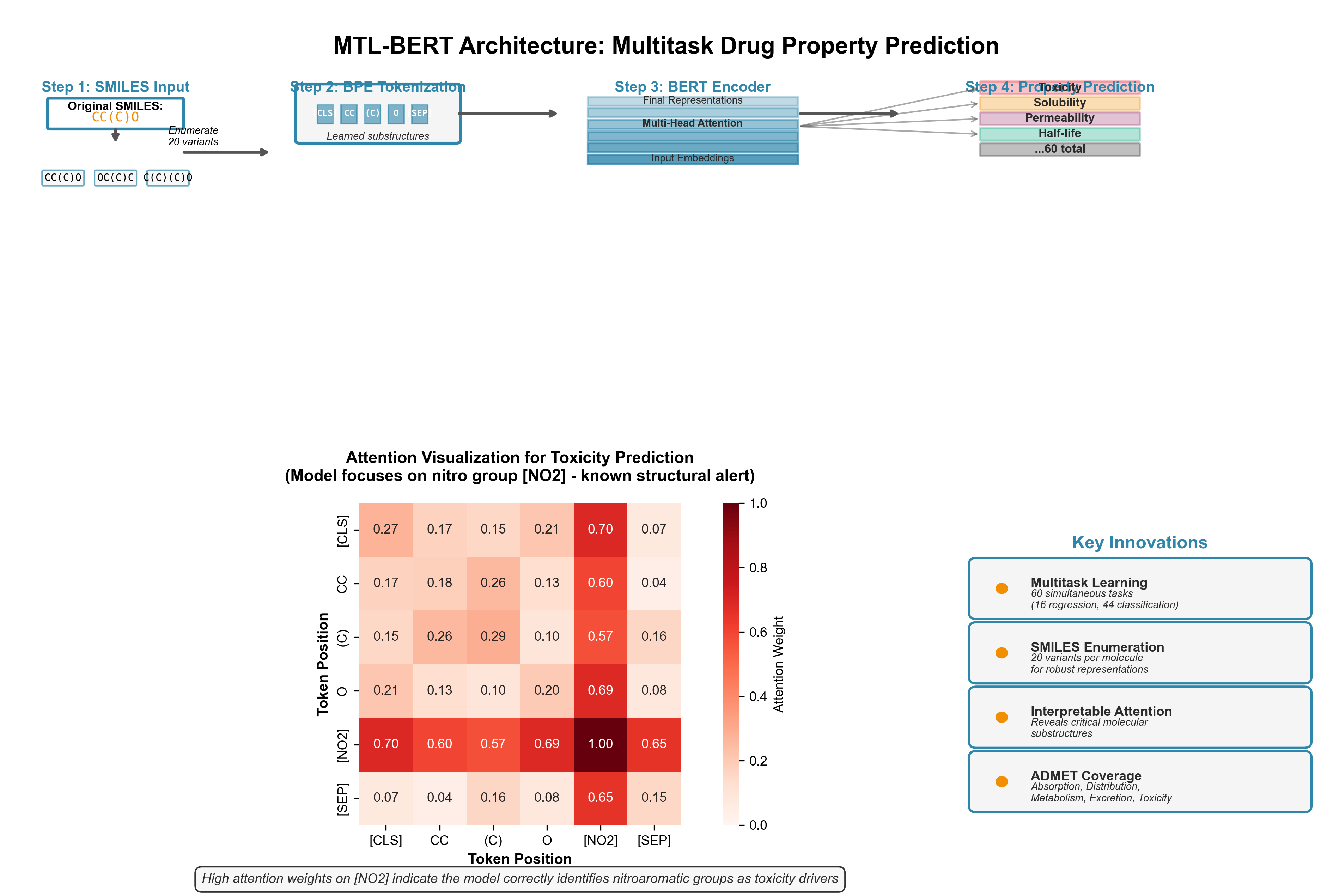 MTL-BERT Architecture and Attention Visualization