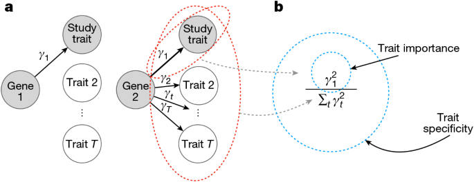 Gene Prioritization Framework - How specificity, length, and luck interact