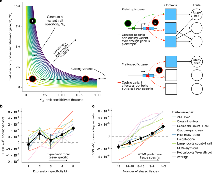 GWAS Prioritize Trait-Specific Variants - Pattern consistent across methods