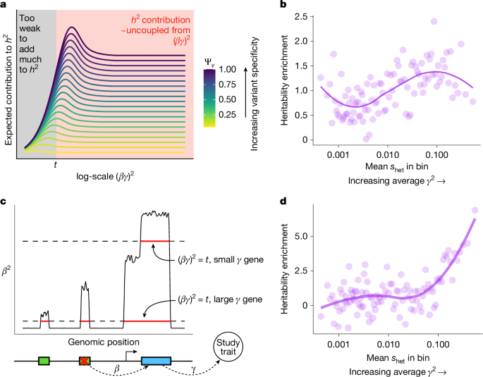 Estimating Trait Importance Through Multi-Variant Integration