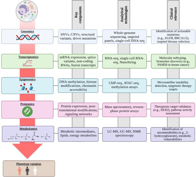 Core omics layers in precision oncology