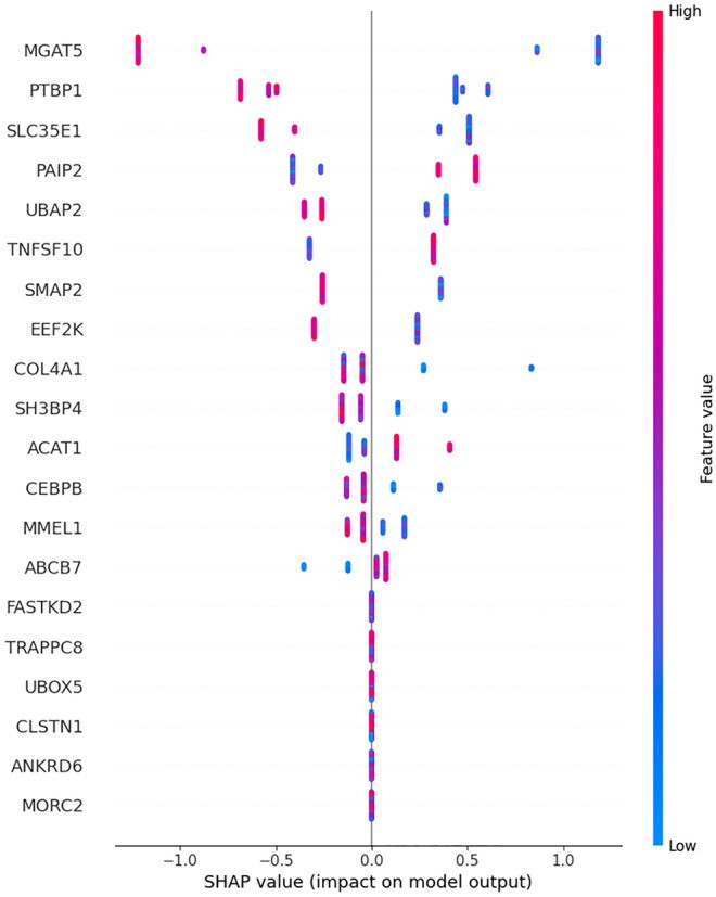 SHAP analysis for biomarker discovery