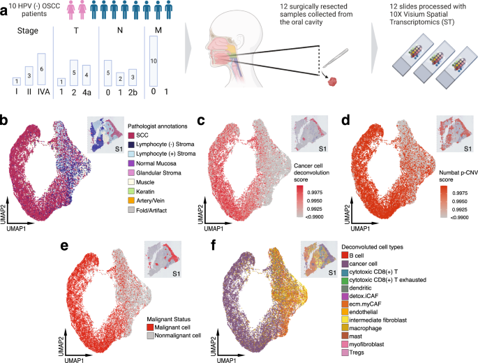 Spatial transcriptomics analysis