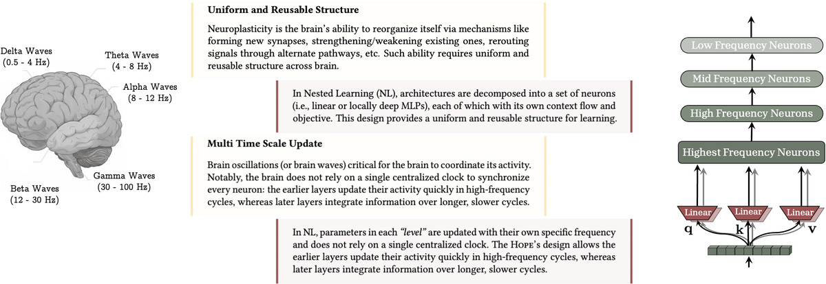 Nested Learning architecture inspired by brain oscillations