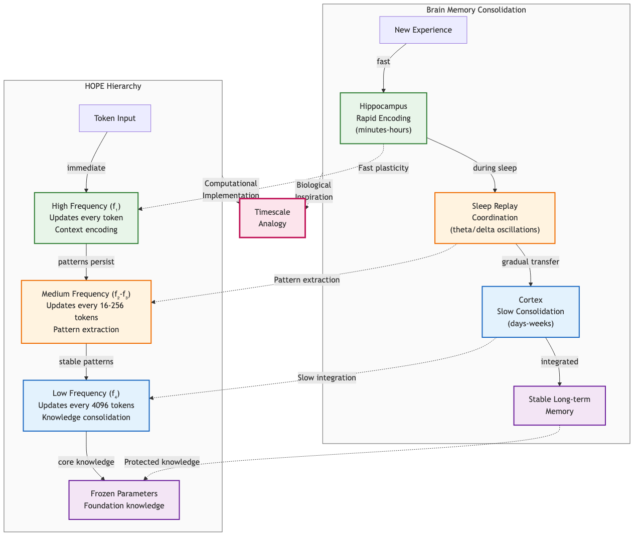 Brain Memory Consolidation Mapped to HOPE