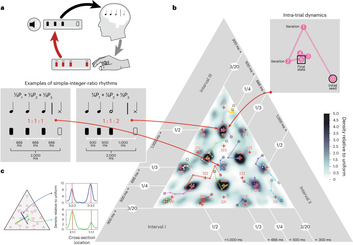 The "telephone game" methodology: Participants tap back rhythms they hear, and over multiple iterations, the patterns converge toward their internal biases.