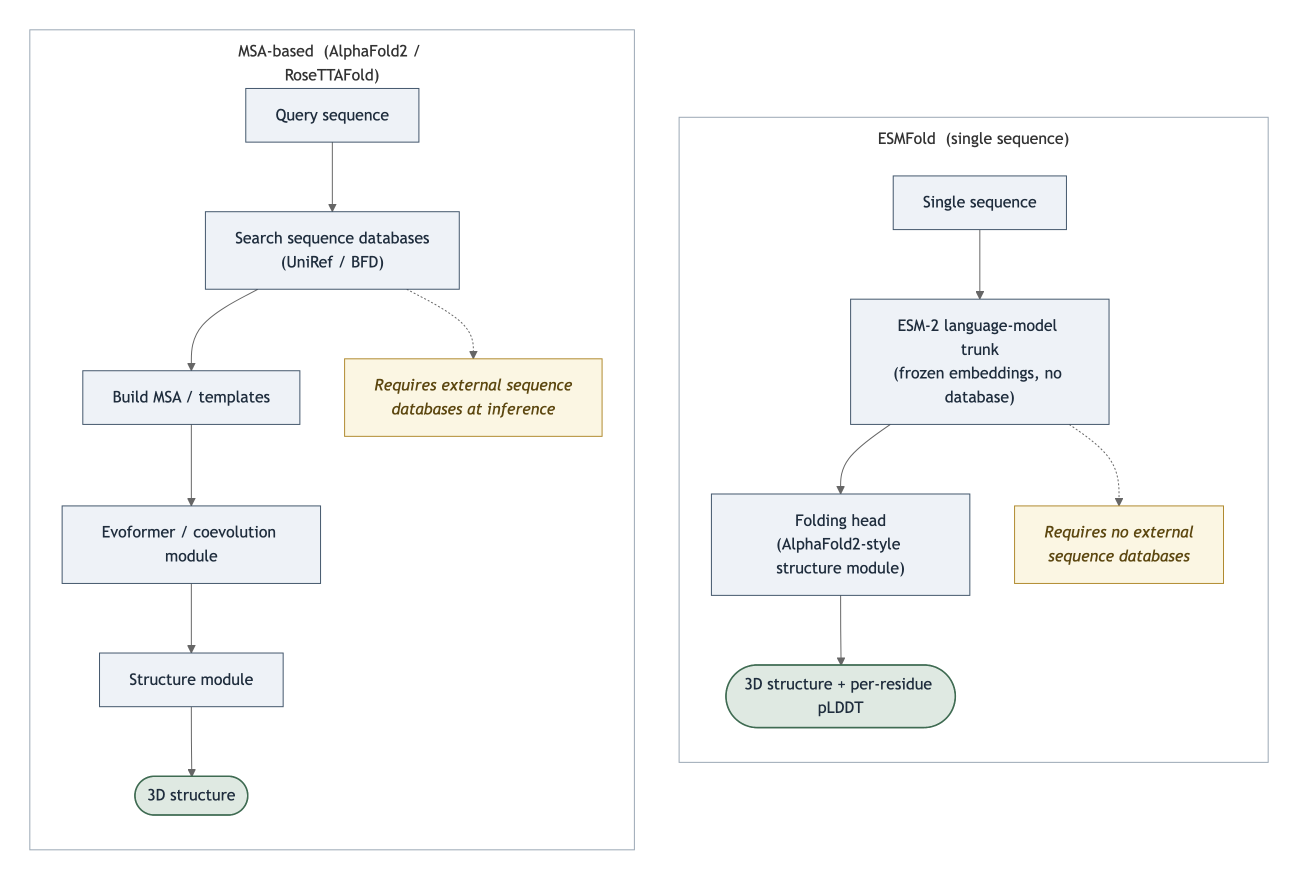 Two pipelines side by side. The MSA-based path (AlphaFold2 / RoseTTAFold) runs query sequence to database search to MSA to Evoformer to structure module to 3D structure, and requires external sequence databases at inference. The ESMFold path runs a single sequence through the frozen ESM-2 trunk to a folding head to a 3D structure with per-residue pLDDT, and requires no database.