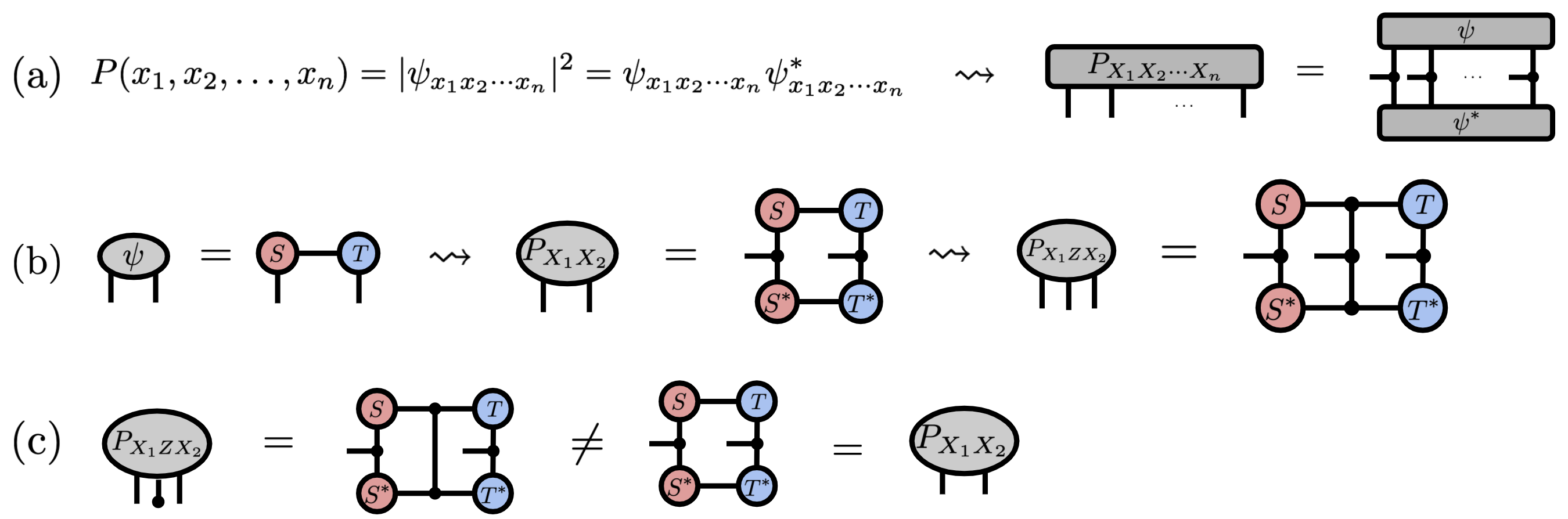 Born Machine Tensor Network