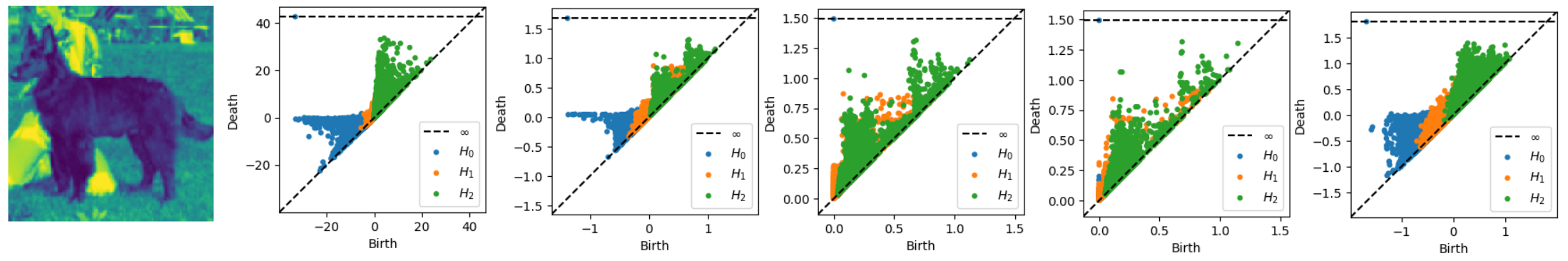 Embedding Topology Evolution