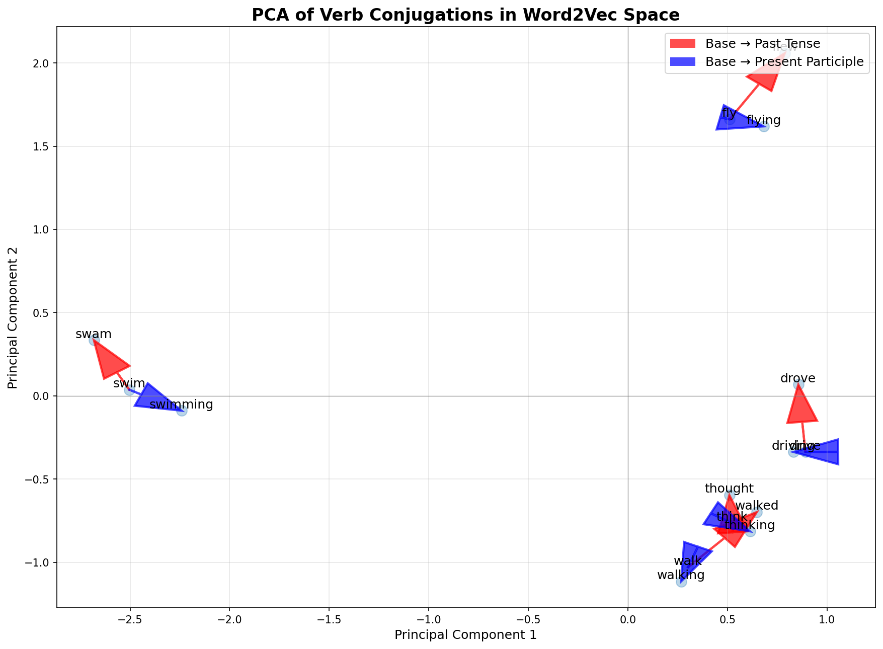 PCA visualization showing parallel tense vectors in Word2Vec space. Red arrows connect base verbs to past tense forms (walk→walked), while blue arrows connect to present participles (walk→walking). The parallelism of same-color arrows provides visual evidence for the "tense axis" hypothesis.