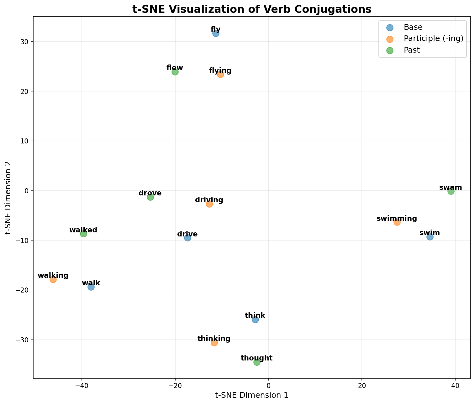 t-SNE visualization of verb clusters colored by grammatical category. Base forms (blue), present participles (orange), and past tense forms (green) show primary clustering by lemma, with secondary structure based on tense. This reveals competing organizational principles in the embedding space.